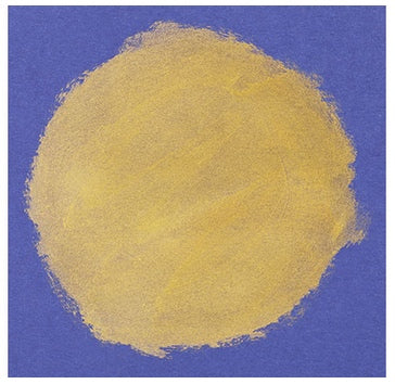 Metallic Gold and Silver Paint Slicks 12pcs