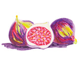 Colour Paint Slicks Classpack 96pcs