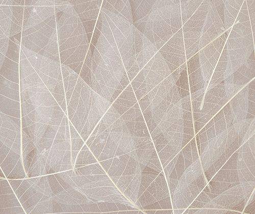 Skeleton Leaves 100pcs