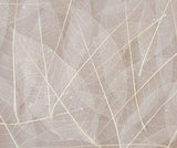 Skeleton Leaves 100pcs