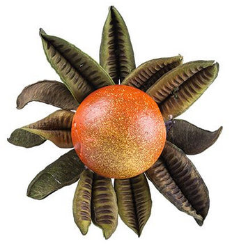 Large Green Pods 100g