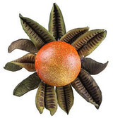 Large Green Pods 100g