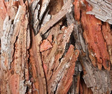 Bark Pieces Assorted 250g