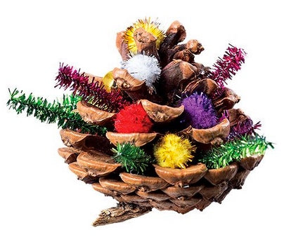 Pine Cones 200g