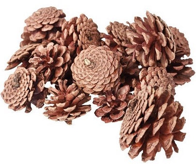 Pine Cones 200g
