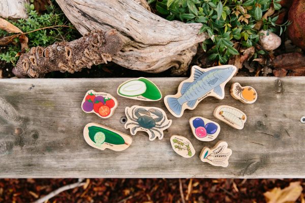 Australian Bush Tucker Wooden Playset – 10 Piece Set