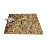 Fossil Finder Carpet 2m x 1.5m