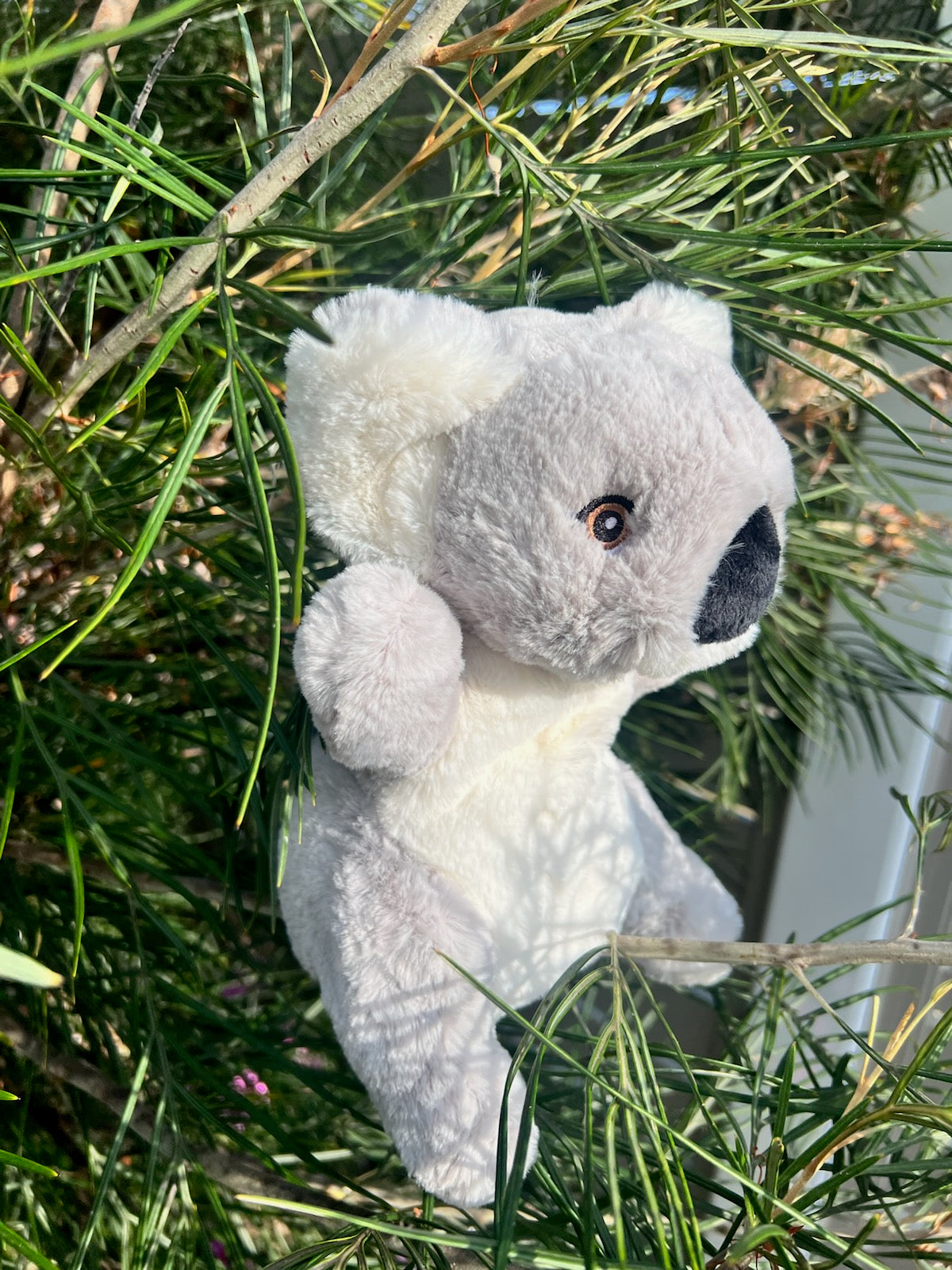 Eco Koala Hand Puppet 25cm