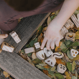 Discovering Minibeasts - The Freckled Frog