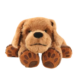 Weighted Theo the Therapy Dog