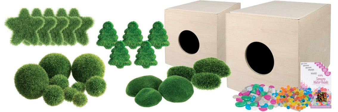 Sensory Perception Class Set
