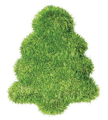 Textured Trees 5pcs