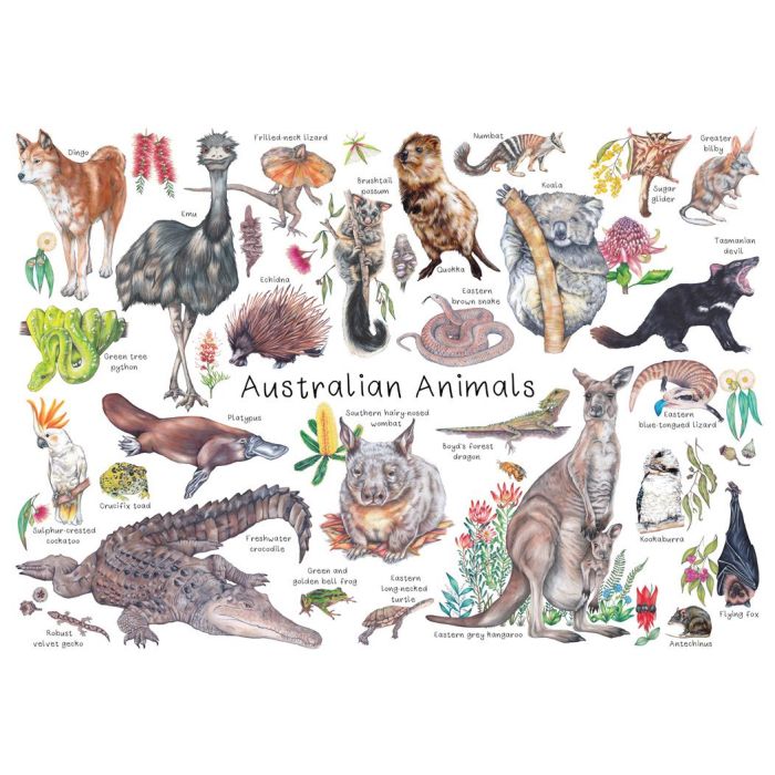 Australian Animals A3 Puzzle 48pcs - EDU-21 Educational Toys & Resources